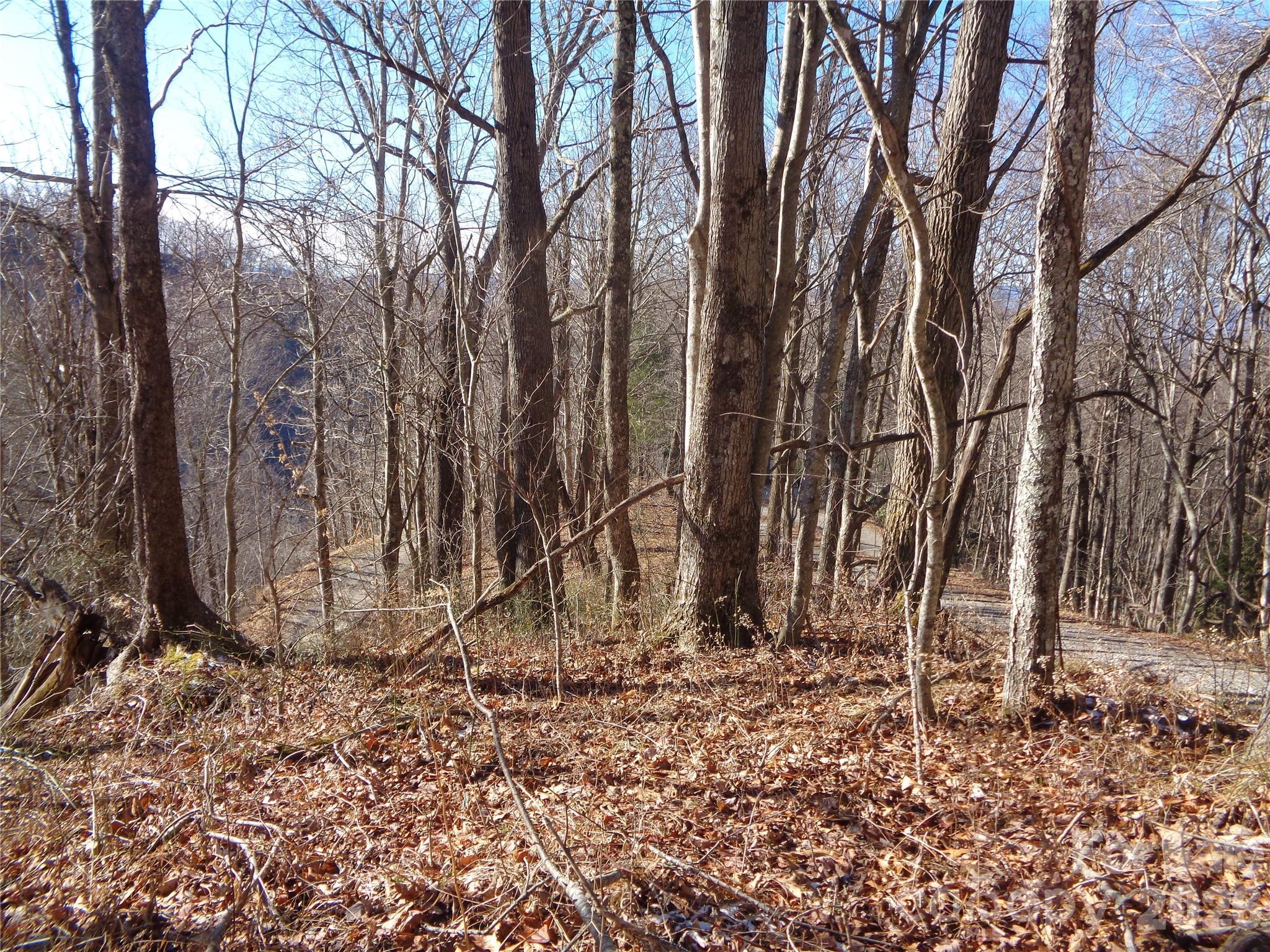 Image 4 Image 4