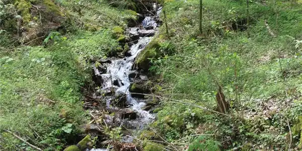 0000 Big Spring Trail