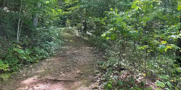 Image 4 Image 4