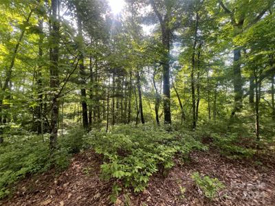 000 Laurel Thicket Lane