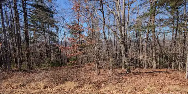 Image 4 Image 4