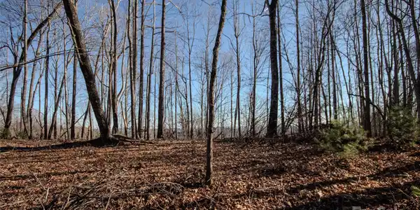 Image 4 Image 4