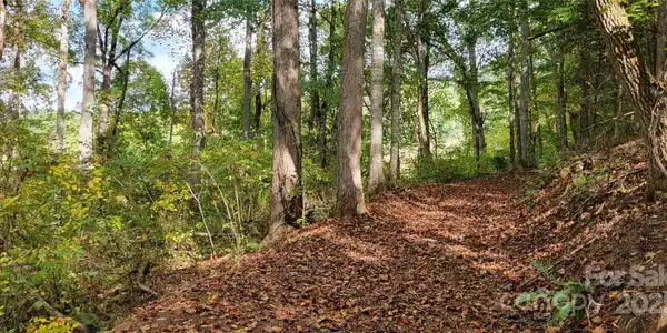 Image 3 Image 3