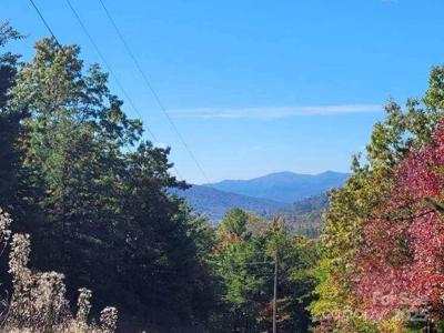 Tract 3 Linville Drive