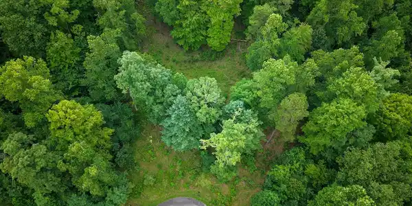120 Ben Lippen School Road