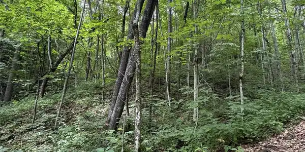 Image 4 Image 4