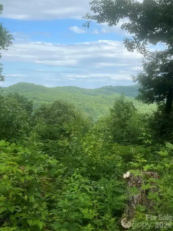 Image 1 Image 1