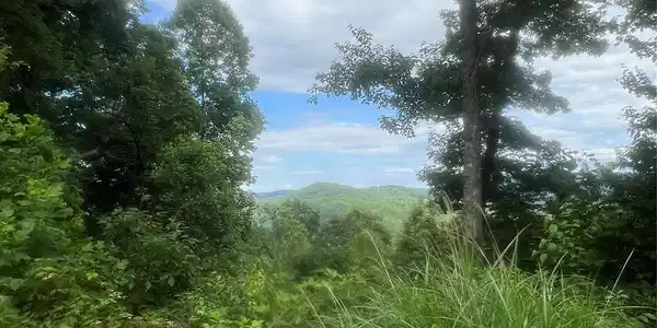 Image 4 Image 4