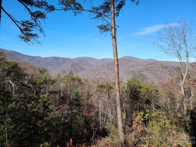 0 Blue Vista Road