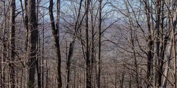 Image 3 Image 3