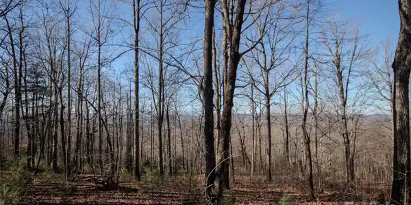 Image 4 Image 4