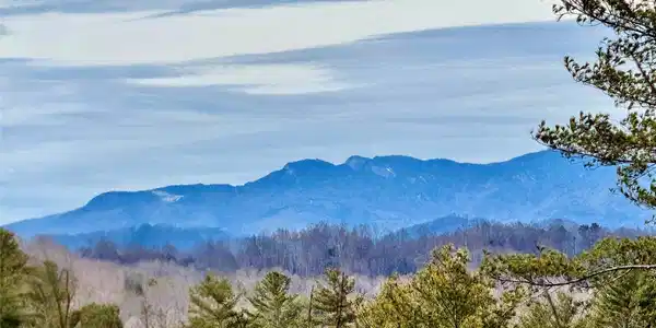 3.32 acres, Lot G23 Thoroughbred Way