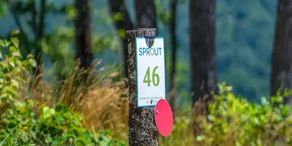 Image 4 Image 4