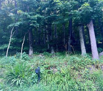 0 Cliffside Lane