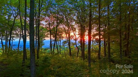 LOT 68 Mountain Grove Lane