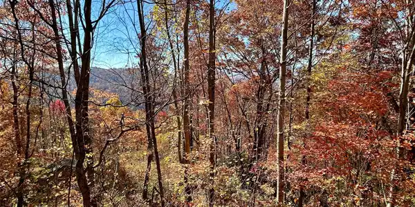 0 Grizzly Ridge