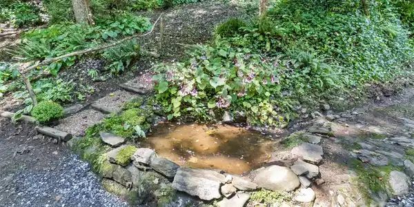 Image 3 Image 3