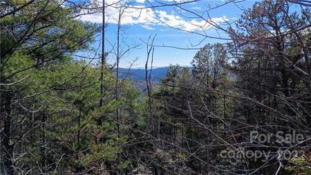 3 acres Tomahawk Ridge Drive