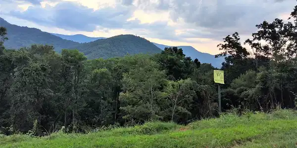 Image 4 Image 4