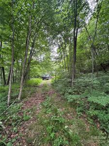 00000 Meadow Lark Road