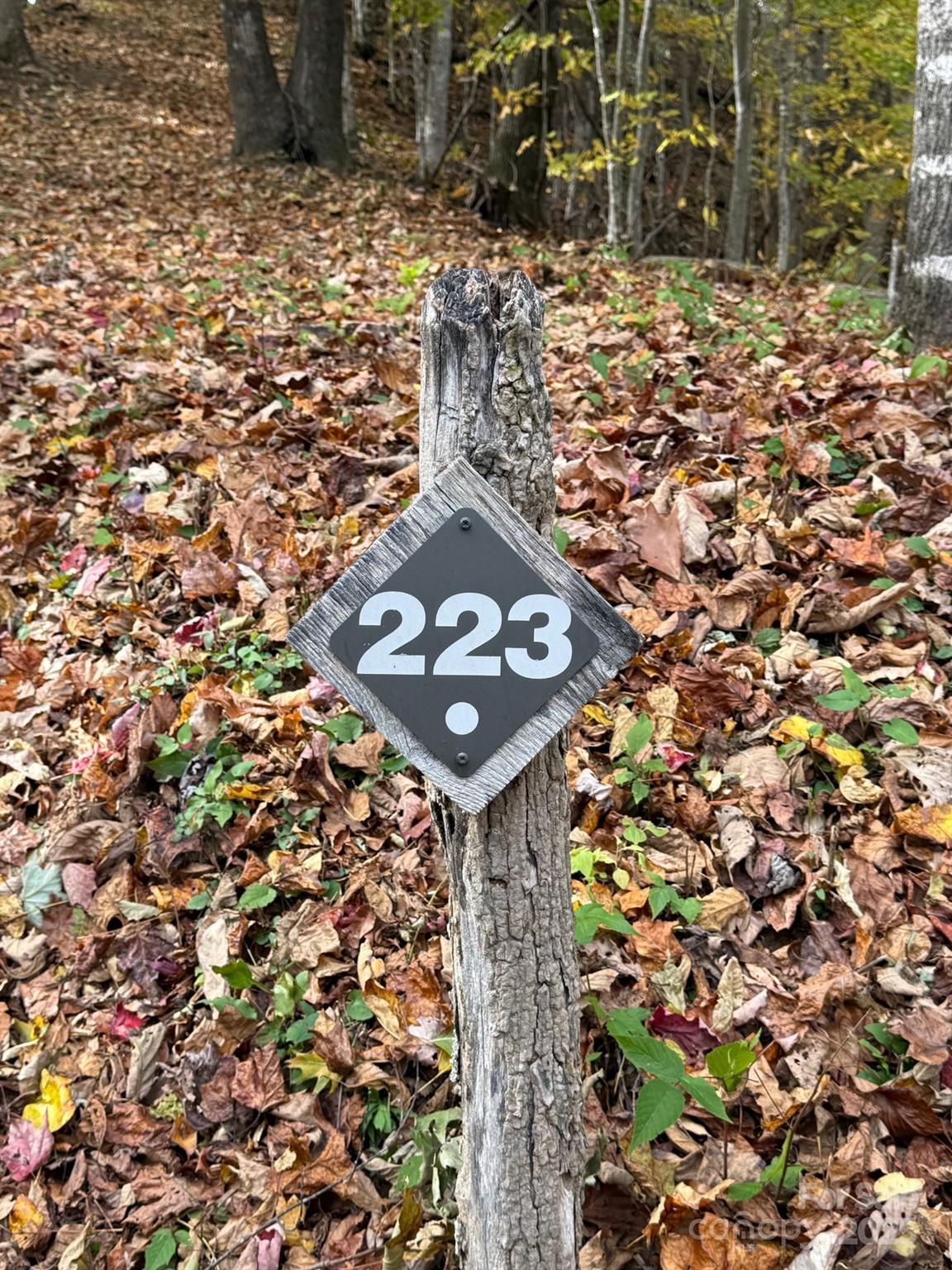 Image 3 Image 3