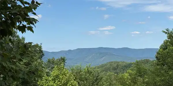 0 Scouts Trail