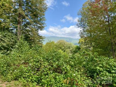 0000 Big Spring Trail