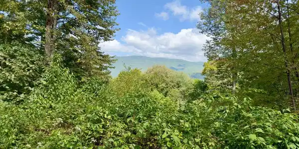 0000 Big Spring Trail