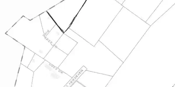 0000 Pine Tree Drive