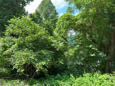 Lot 303 Slippery Rock Road