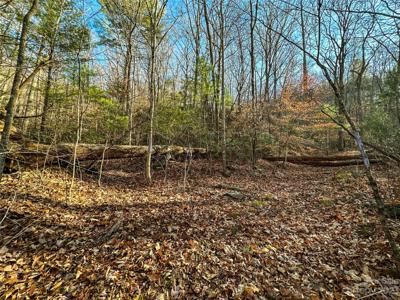 TBD Webb Cove Road