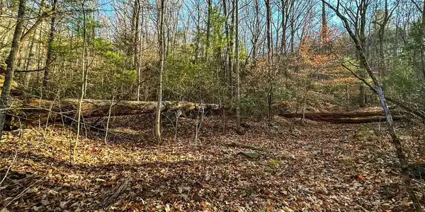 TBD Webb Cove Road