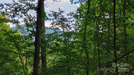 437 Blue Mist Way