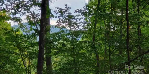 437 Blue Mist Way