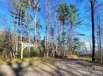 111 Digging Seng Trail