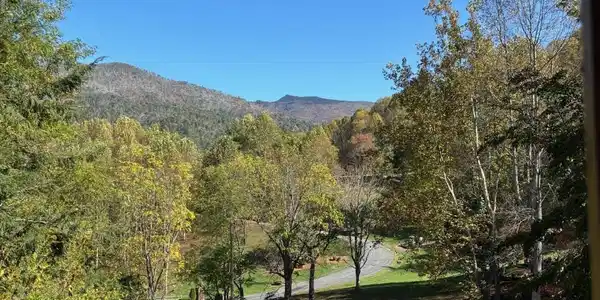 Image 4 Image 4