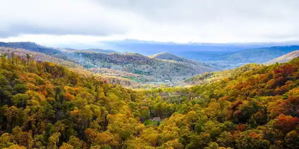 00 Ox Creek Road