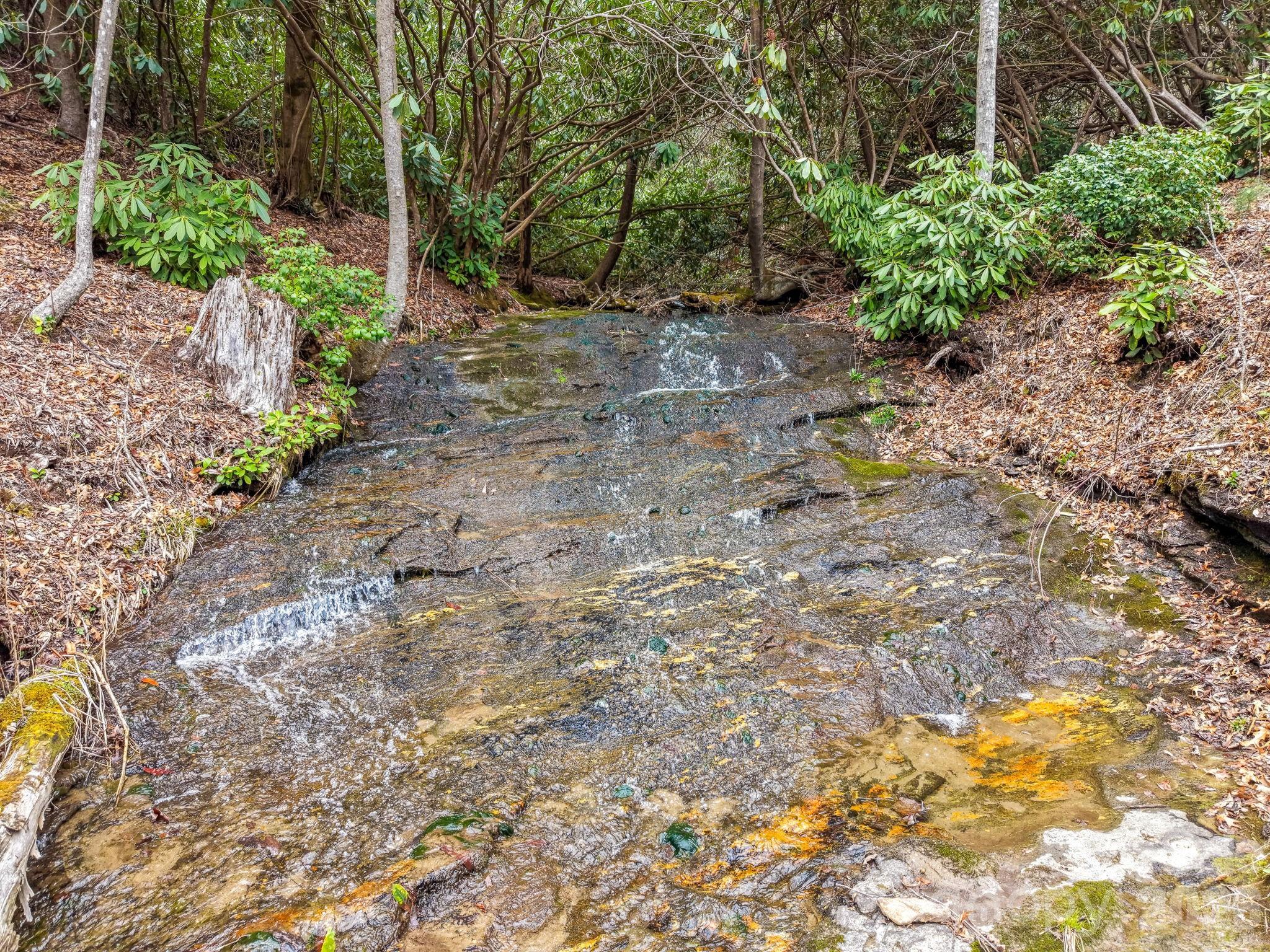 Image 1 Image 1