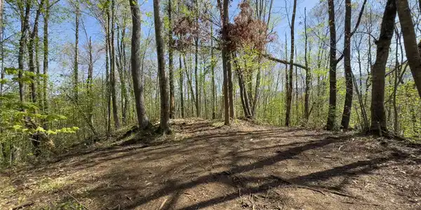 Lot 64 Big Springs Trail