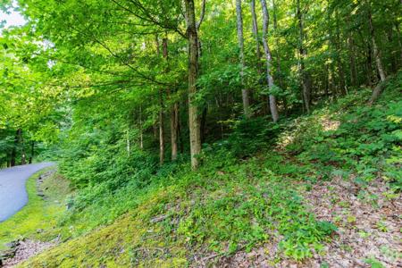 Lot 30 Finlaystone Trace