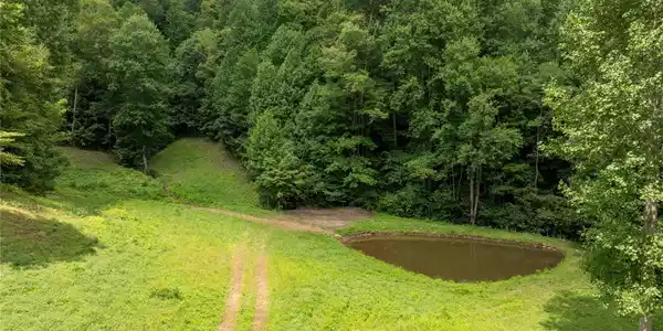 Image 2 Image 2