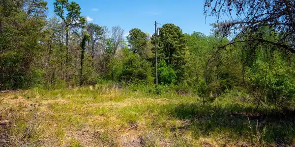 Image 4 Image 4