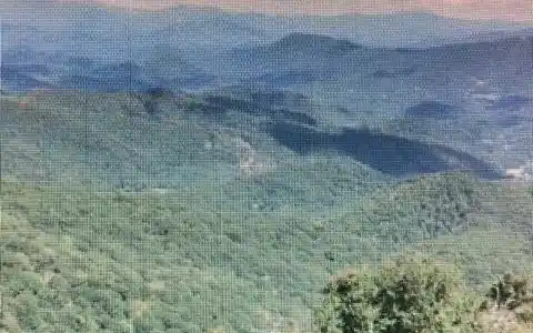 Image 2 Image 2