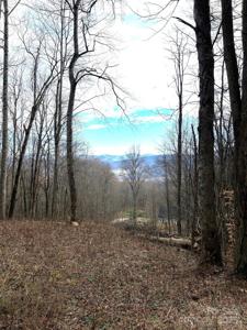 Lot #2 Sage Lane