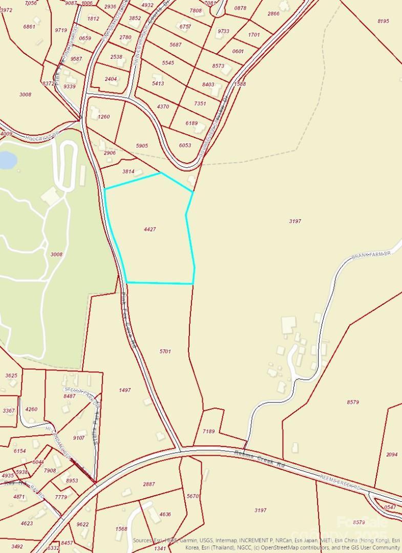 Image 4 Image 4