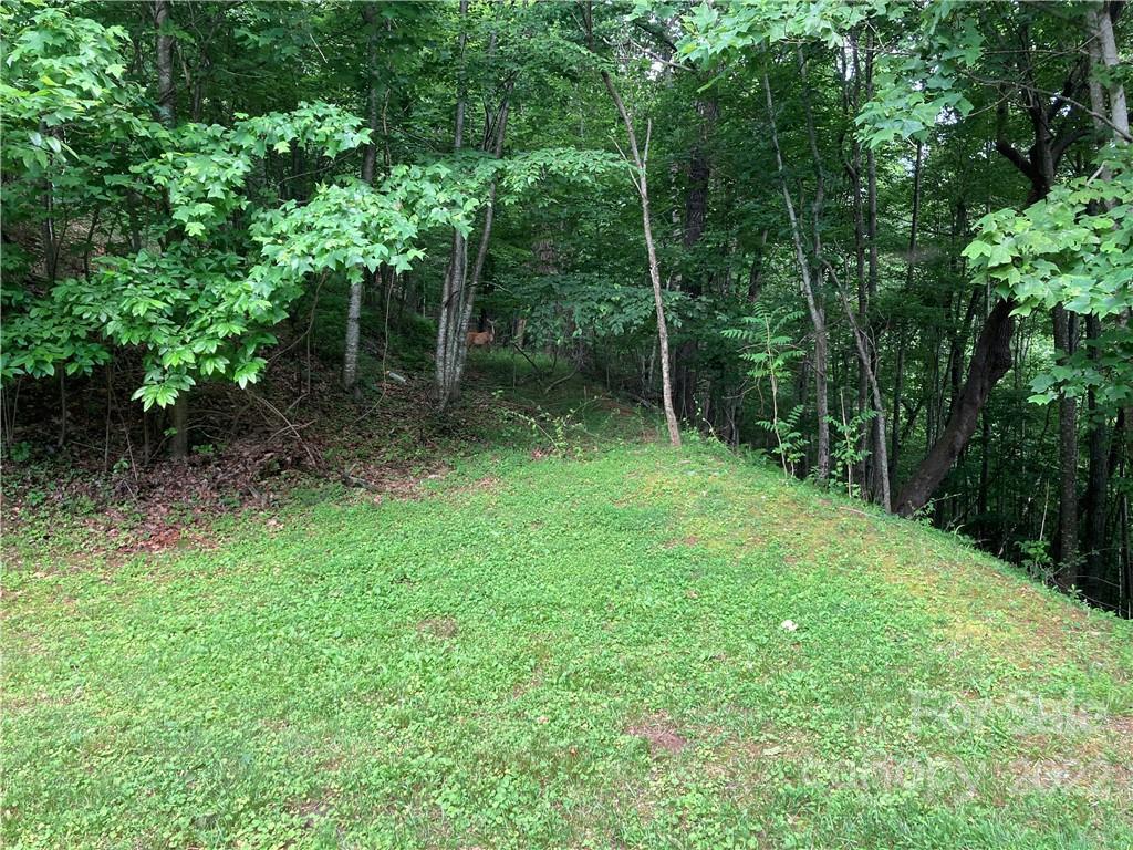 Image 4 Image 4
