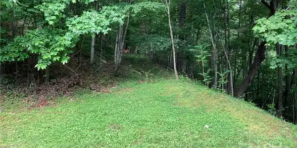 Image 4 Image 4