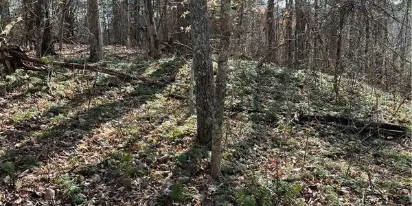 999B Sams Crossing