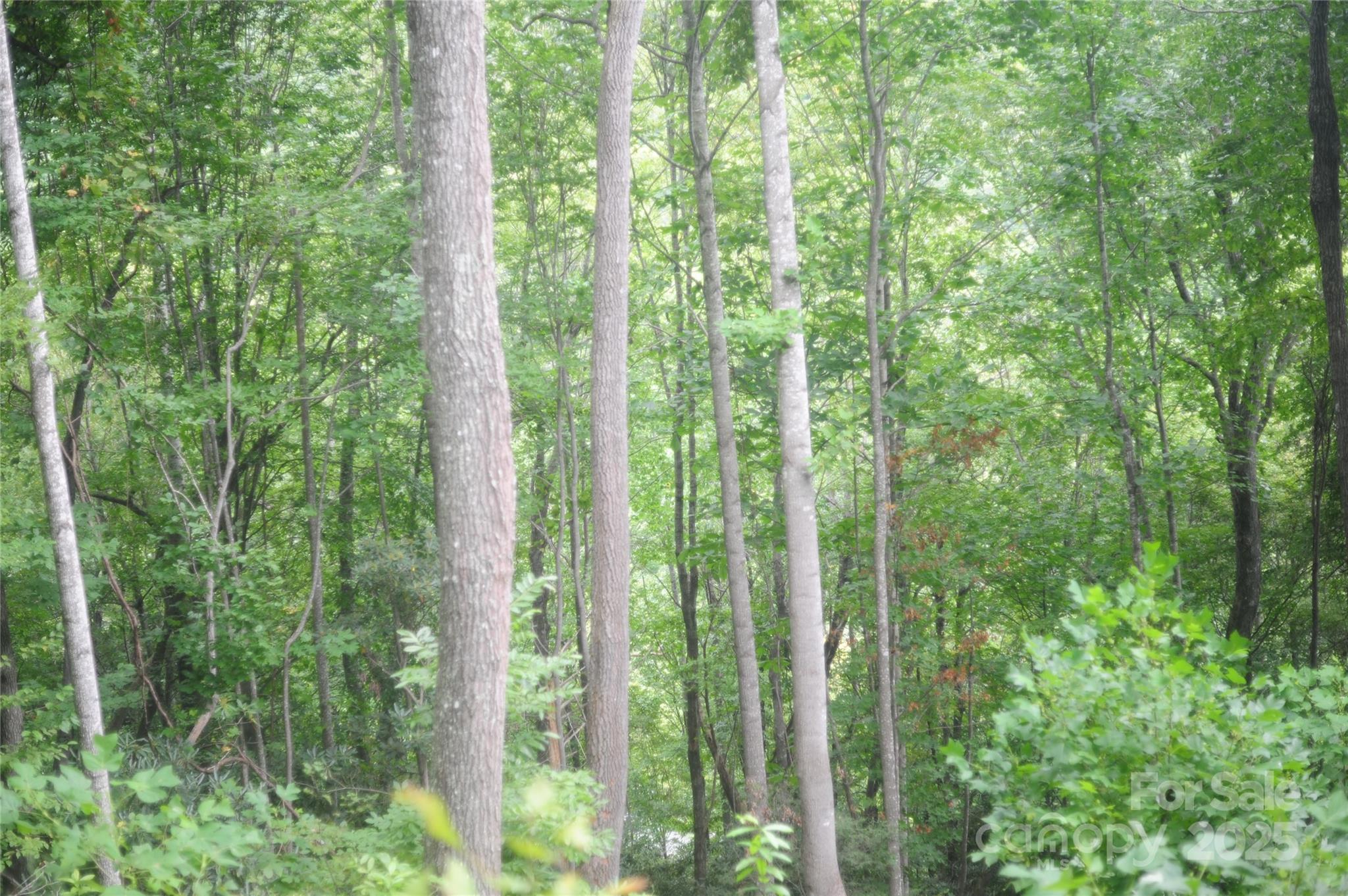 Image 2 Image 2
