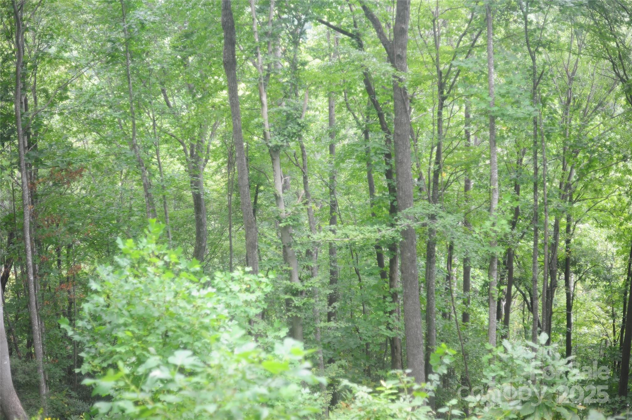 Image 3 Image 3